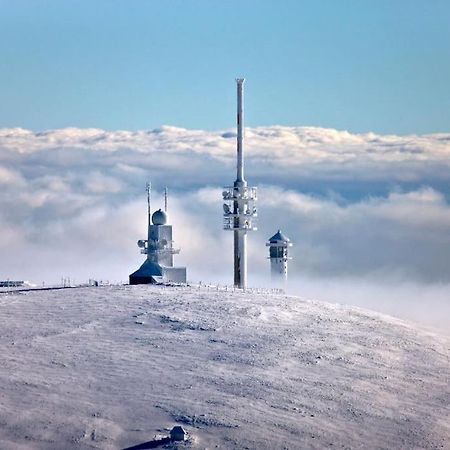 Waldoase Titisee Zewnętrze zdjęcie