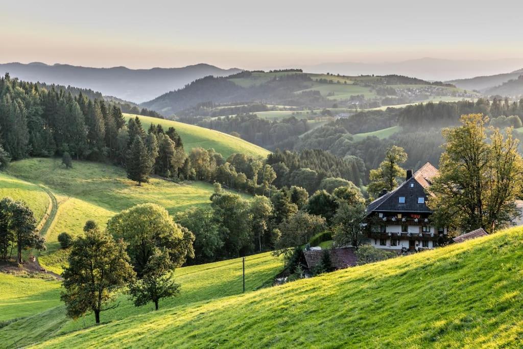 Waldoase Titisee Zewnętrze zdjęcie