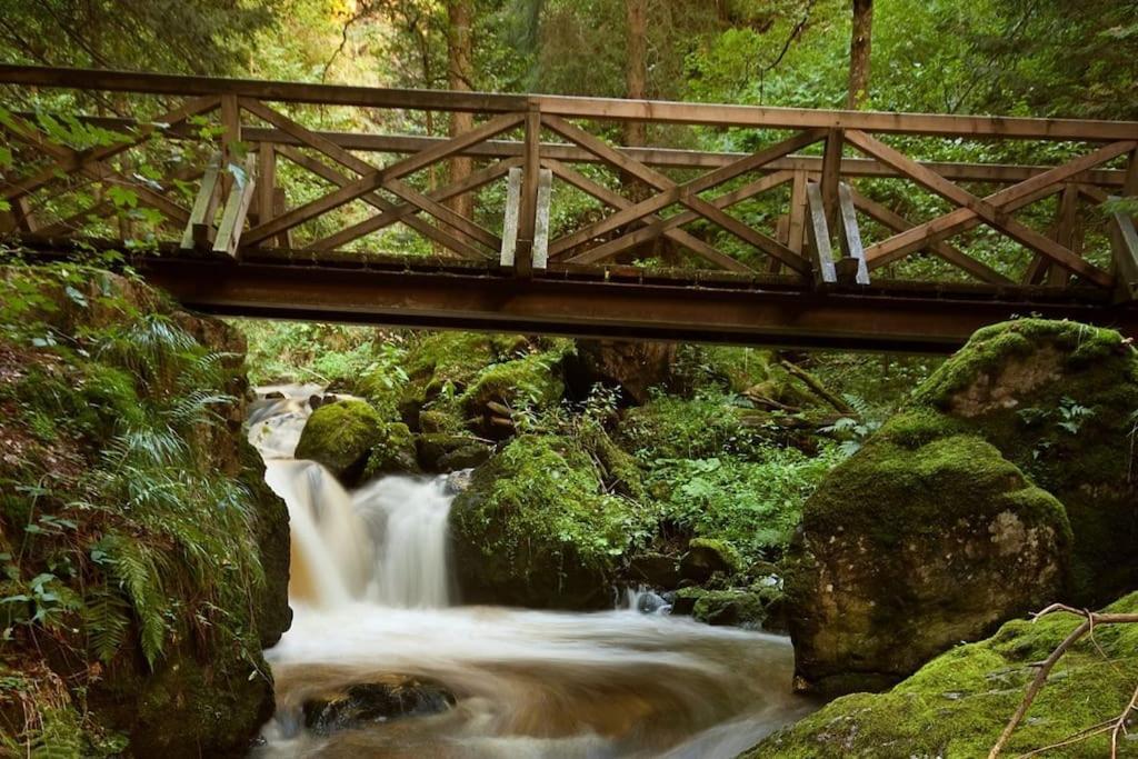 Waldoase Titisee Zewnętrze zdjęcie